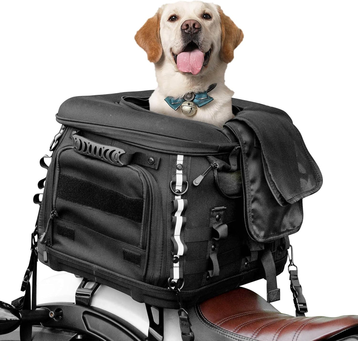 Black pet carrier crate mounted on a motorcycle luggage rack