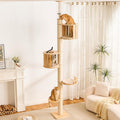 Adjustable floor-to-ceiling wood cat tree with acrylic capsule and condo – view 2