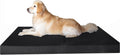 Large memory foam dog bed with black canvas cover