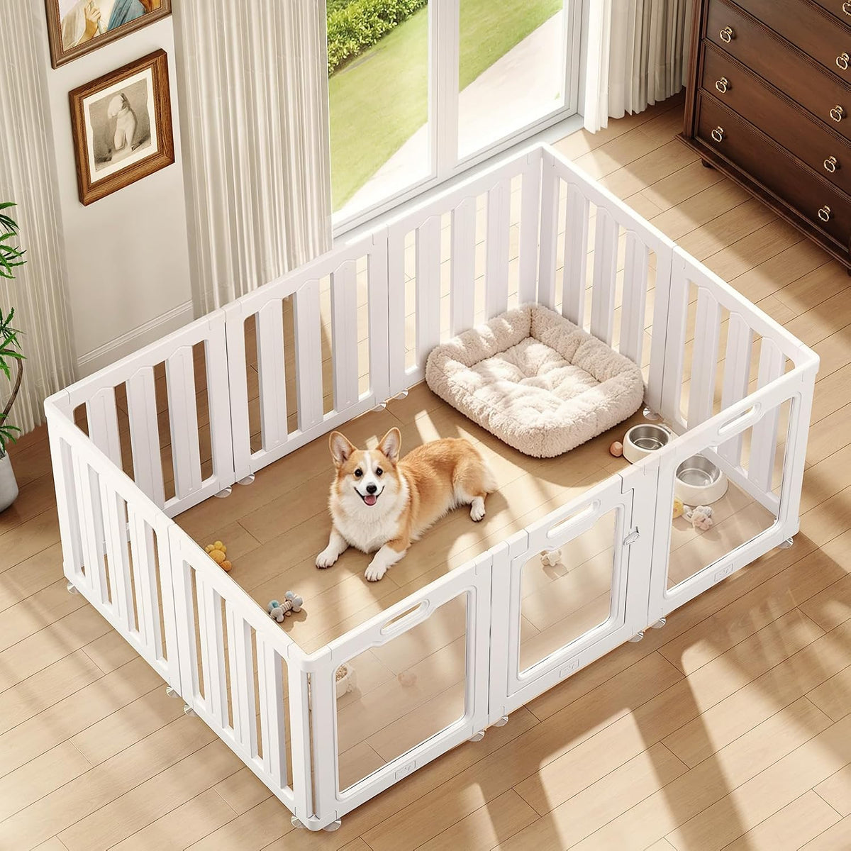 White-trimmed clear acrylic 24 inch dog playpen enclosure