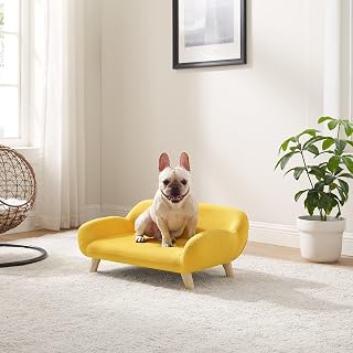 Sam's Pets Akkeri Cat Couch Bed with Wooden Legs, Yellow