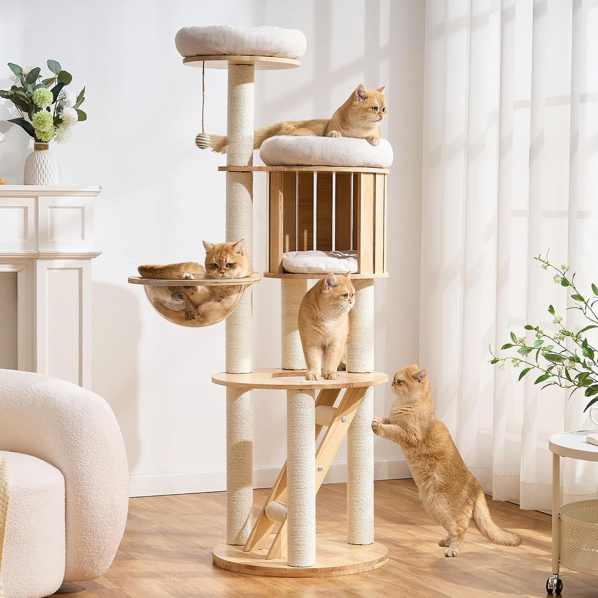 61.5-inch solid wood cat tree with ladder, beds and semi-open condo