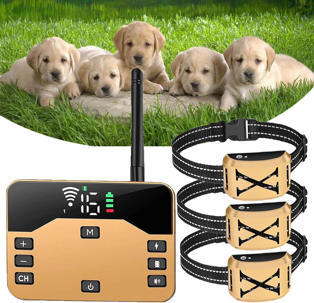 Wireless dog fence transmitter with three waterproof training collar receivers