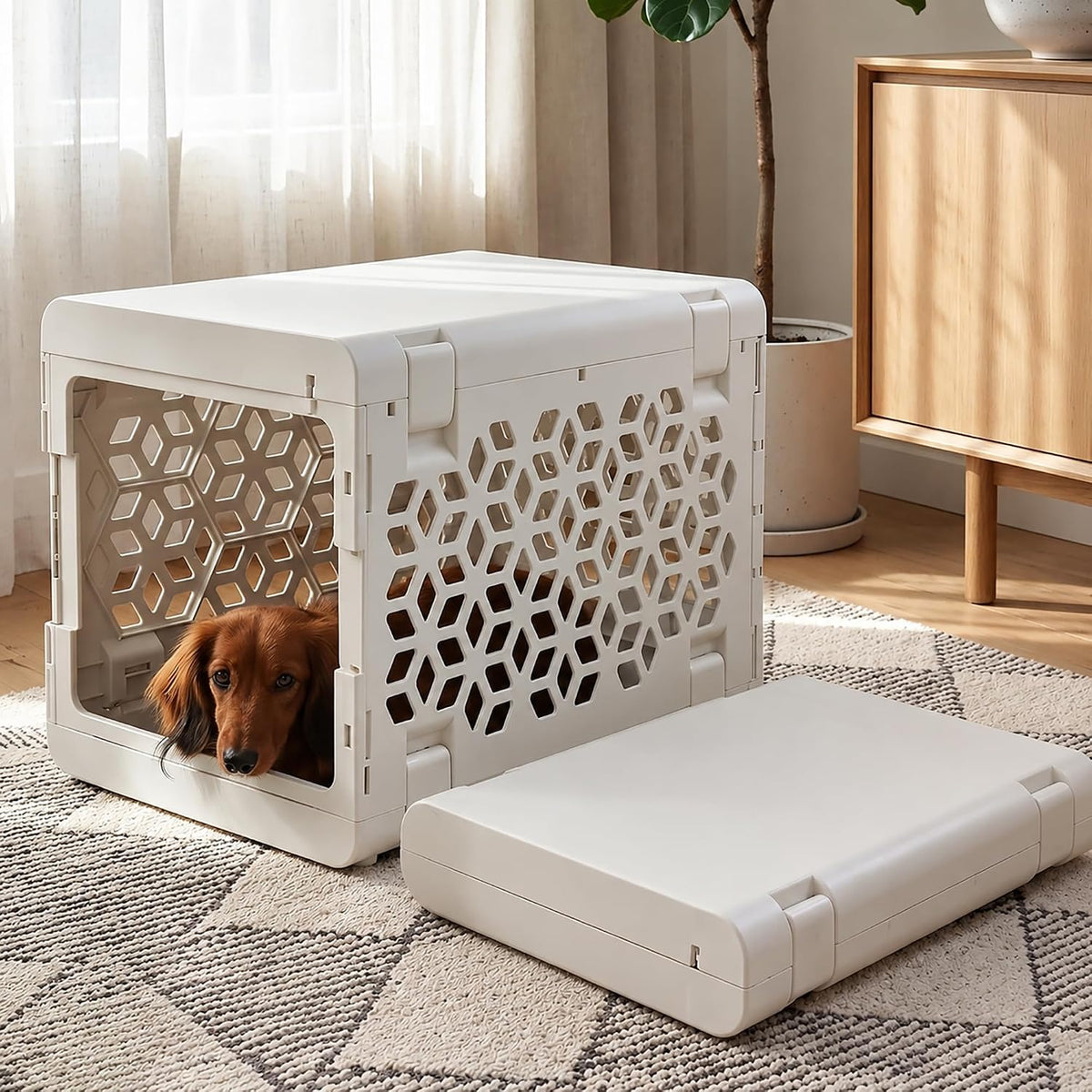 Small white collapsible puppy crate