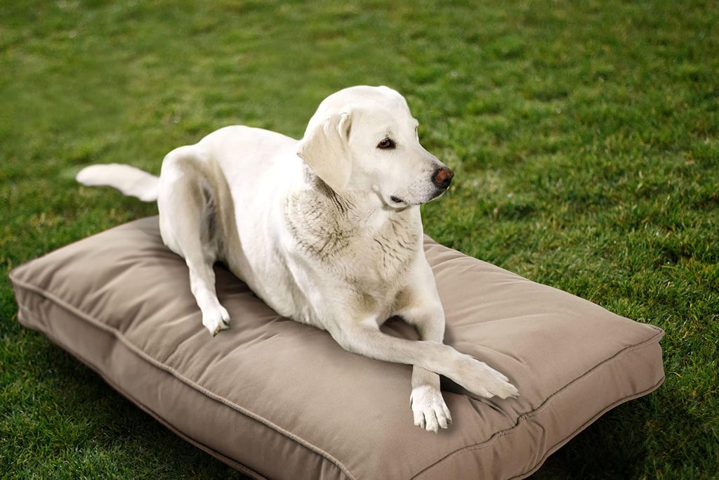 Daffodil yellow reversible indoor outdoor pet mat bed – view 3