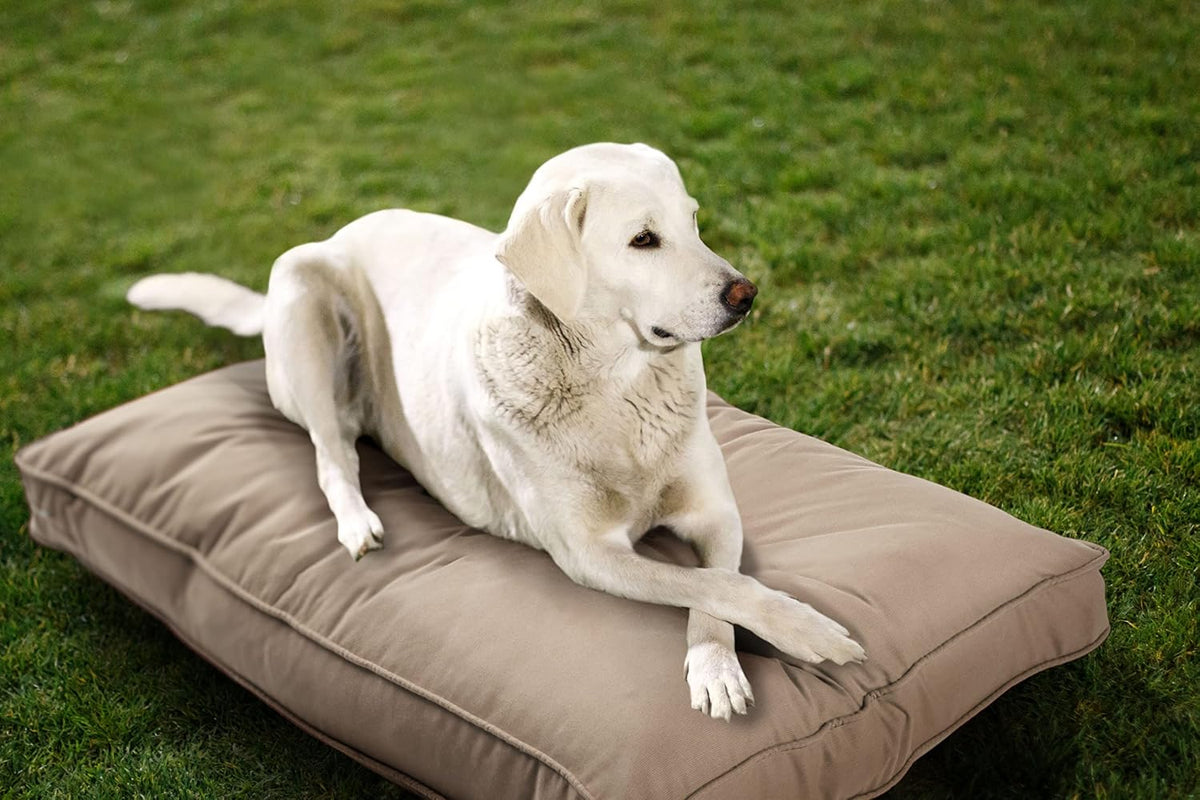 Charcoal grey double-sided indoor outdoor dog bed mat, small – view 3