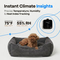 4G cellular pet temperature monitor and security camera