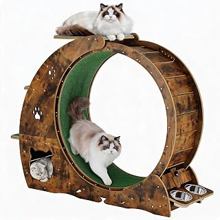 6-in-1 Multifunctional Cat Exercise Wheel with Removable Carpet, Scratching Post and Integrated Bowls