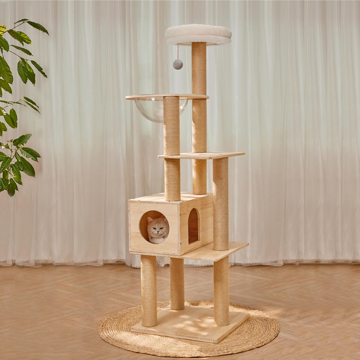 61.5 inch pine wood cat tree with house, space capsule and sisal post