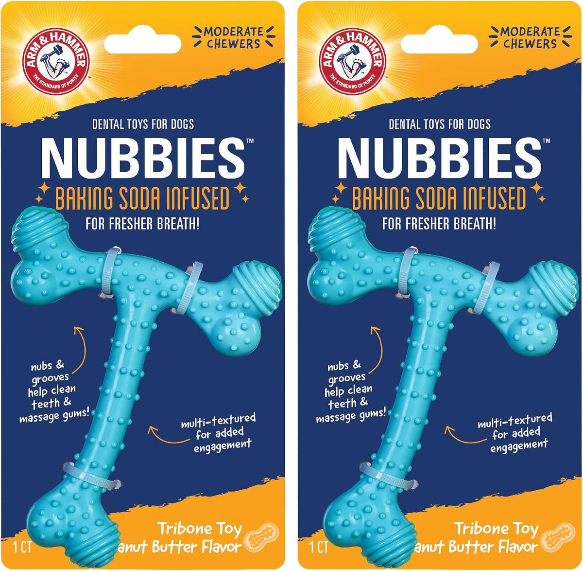 Dinosaur-shaped nylon dental chew toy for dogs with textured nubs, mint flavor – view 2