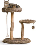 Compact modern wood cat tree with real branch post and cushioned bed