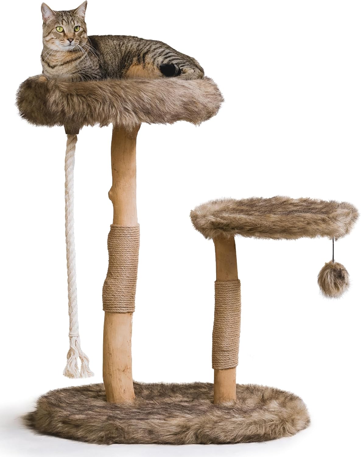 Compact modern wood cat tree with real branch post and cushioned bed