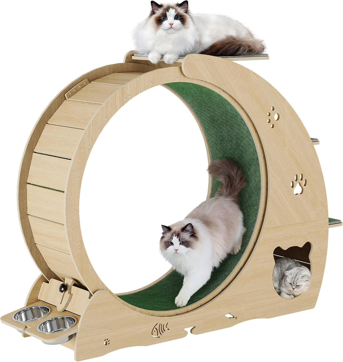 48-inch cat exercise wheel with attached three-level jumping tower – view 2