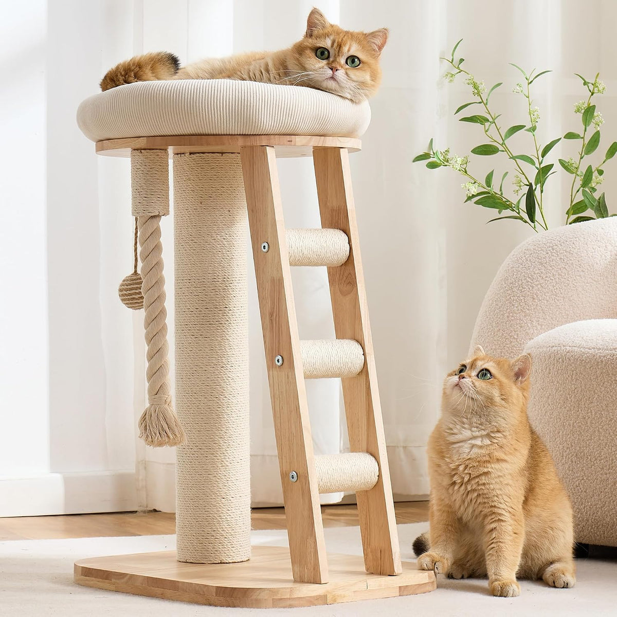 49 inch solid wood cat tree with hammock and space capsule – view 4