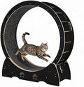 Quiet Cat Exercise Wheel for Indoor Cats