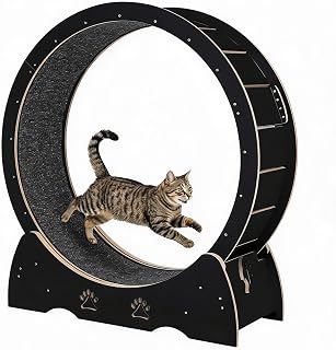 Quiet Cat Exercise Wheel for Indoor Cats