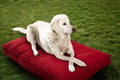 Cherry red double-sided dog bed mat for indoor and outdoor use