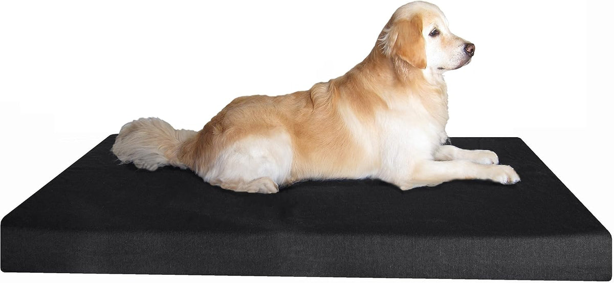 Jumbo black canvas orthopedic gel memory foam dog bed, 55 x 47 x 4 inches