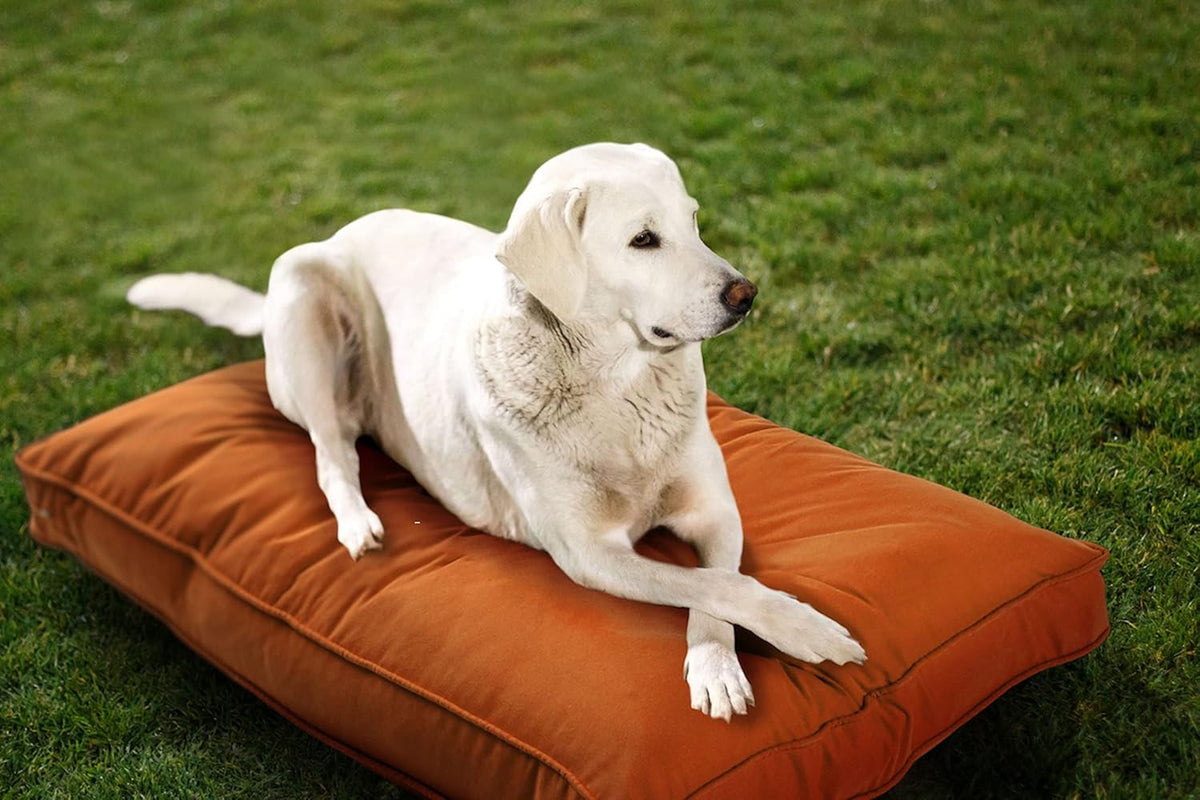 Cayenne red double-sided indoor outdoor dog bed, large size