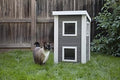 New Age Pet ECOFLEX Outdoor Cat Townhouse, Grey, Weather-Resistant Wood Alternative Shelter