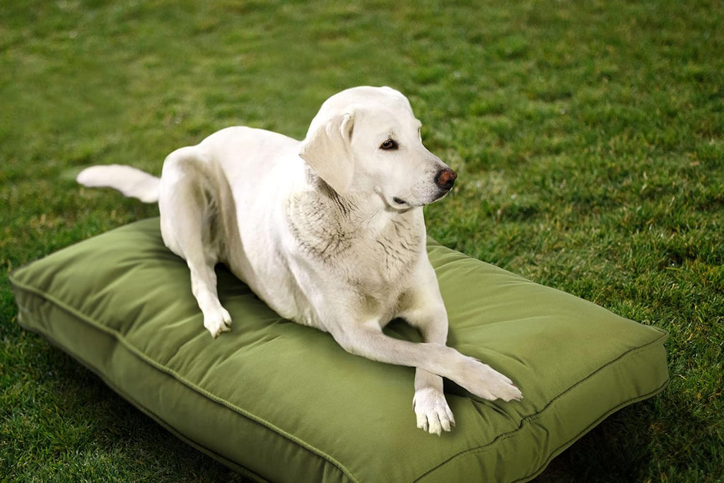 Daffodil yellow reversible indoor outdoor pet mat bed – view 7