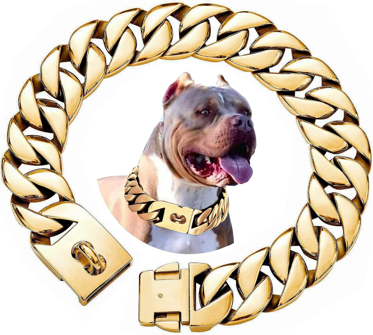 Gold 32mm Cuban link stainless steel chain dog collar with buckle