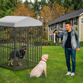 Galvanized steel outdoor dog kennel with waterproof canopy roof