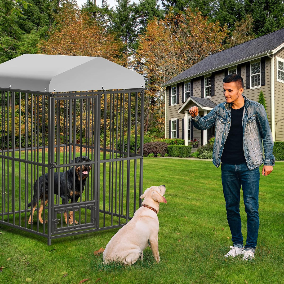 Galvanized steel outdoor dog kennel with waterproof canopy roof