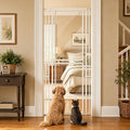 Black 79 inch extra tall clear acrylic cat gate with metal frame in a doorway