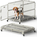 Collapsible black metal dog crate with diamond wire mesh and removable tray