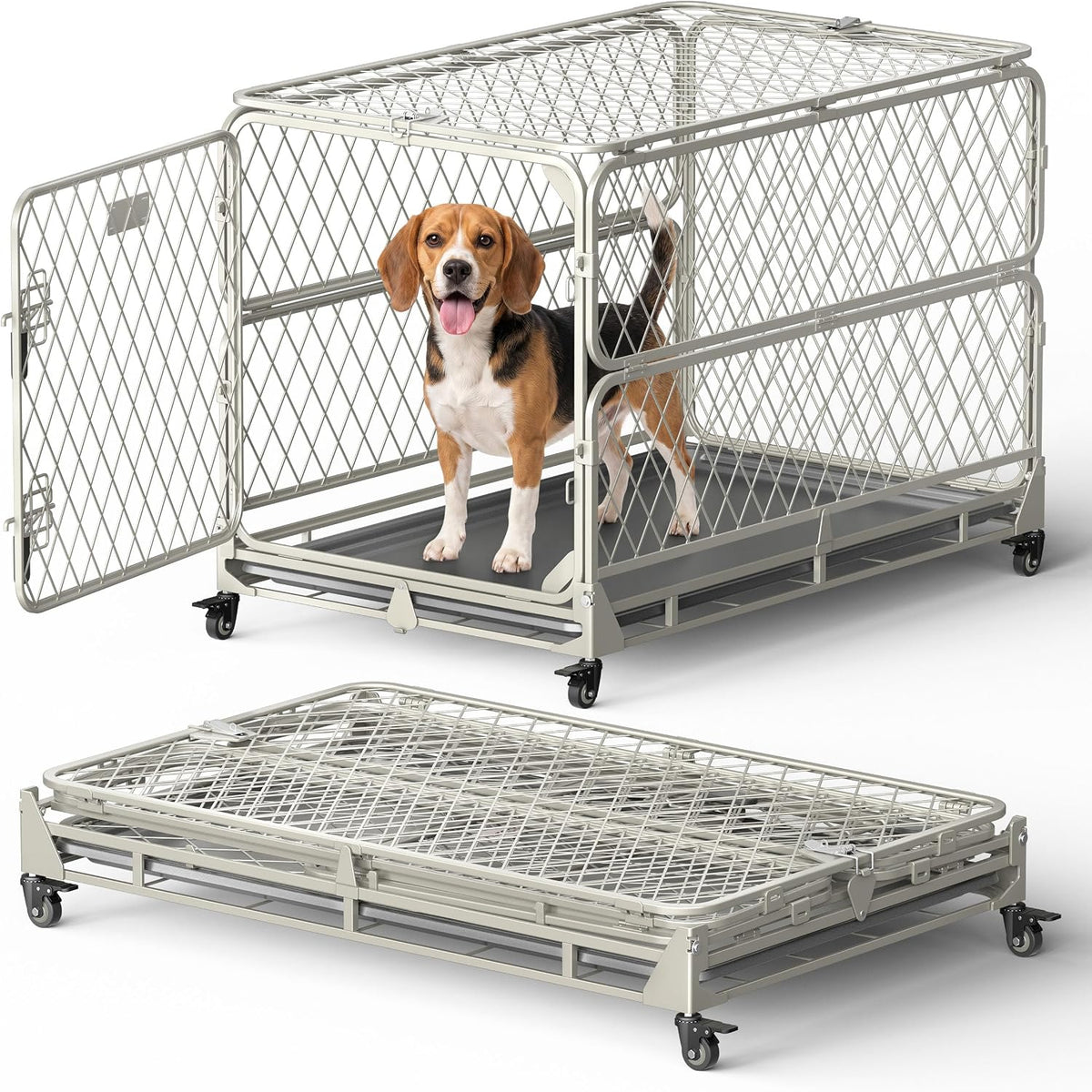 Collapsible black metal dog crate with diamond wire mesh and removable tray