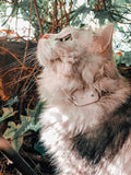 Small RF pet tracker tag and handheld finder unit for cats