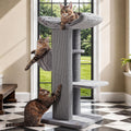 Modern gray cat tree with wide platforms for large cats