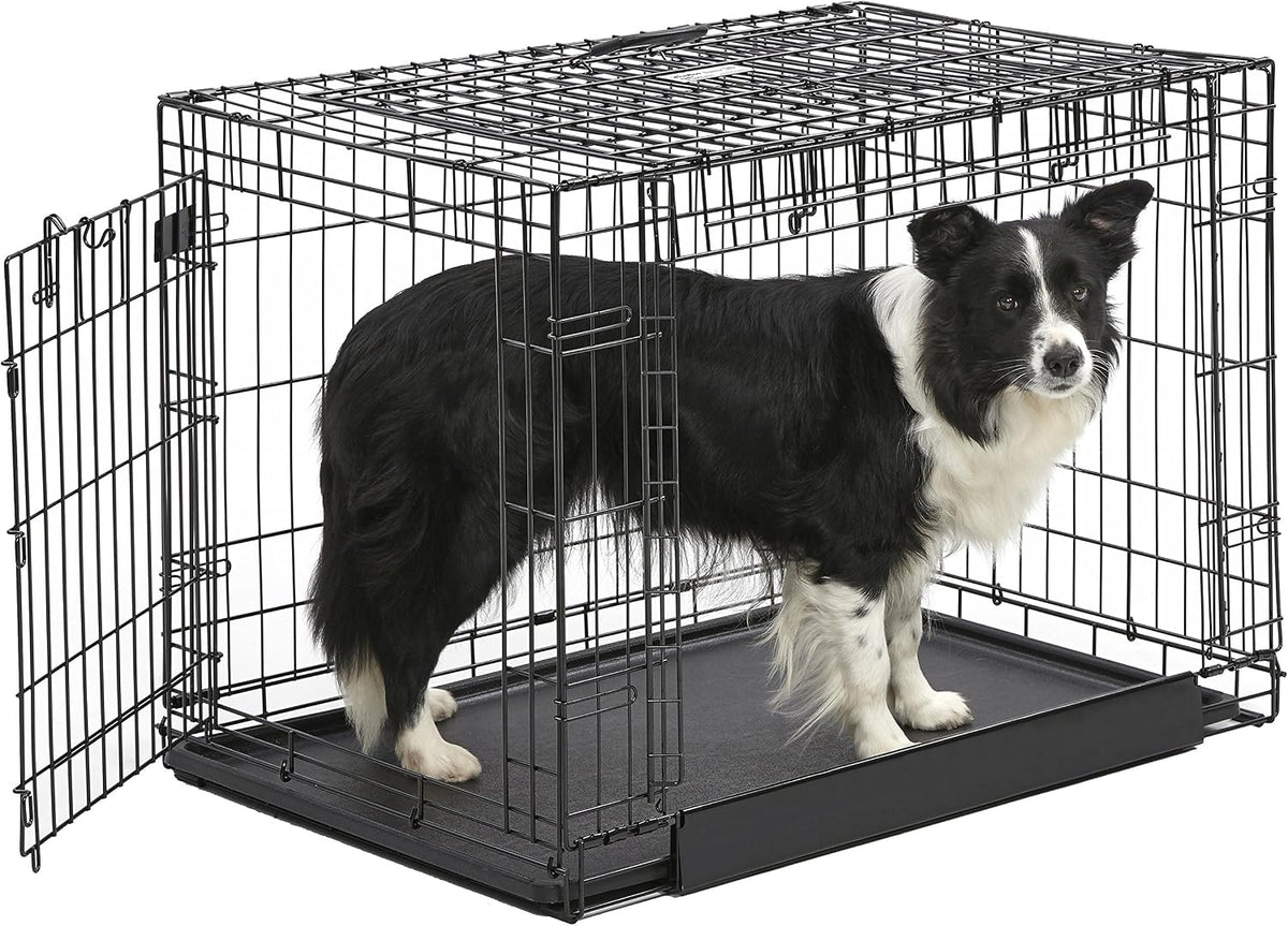 Black 36 inch folding metal dog crate with front and side doors
