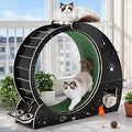 TrailBlaze 55 Inch Cat Exercise Wheel for Indoor Cats with Scratching Pad and Rest Area