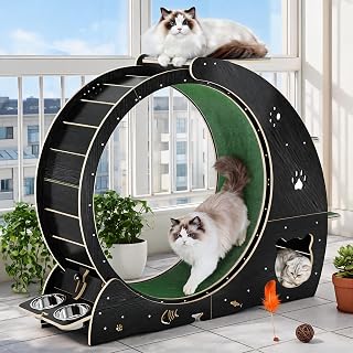 TrailBlaze 55 Inch Cat Exercise Wheel for Indoor Cats with Scratching Pad and Rest Area