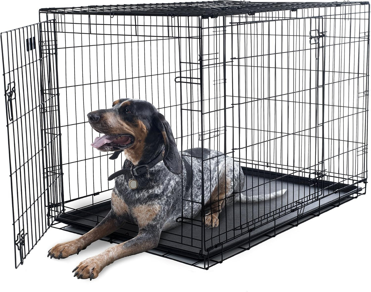 Black metal two door folding dog crate with divider panel, 42 inches