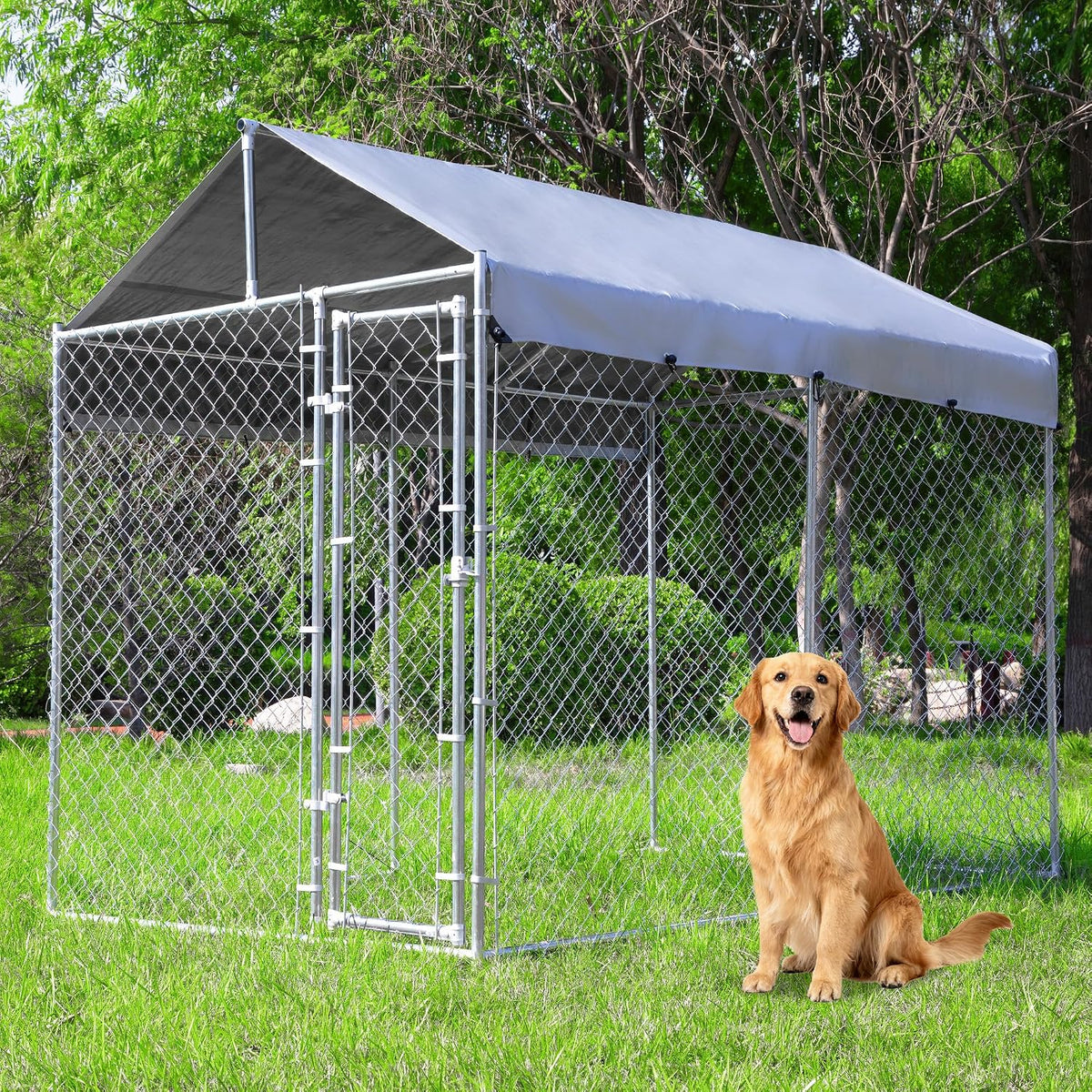 Galvanized chain link outdoor dog kennel with roof, 10 x 10 ft – view 2