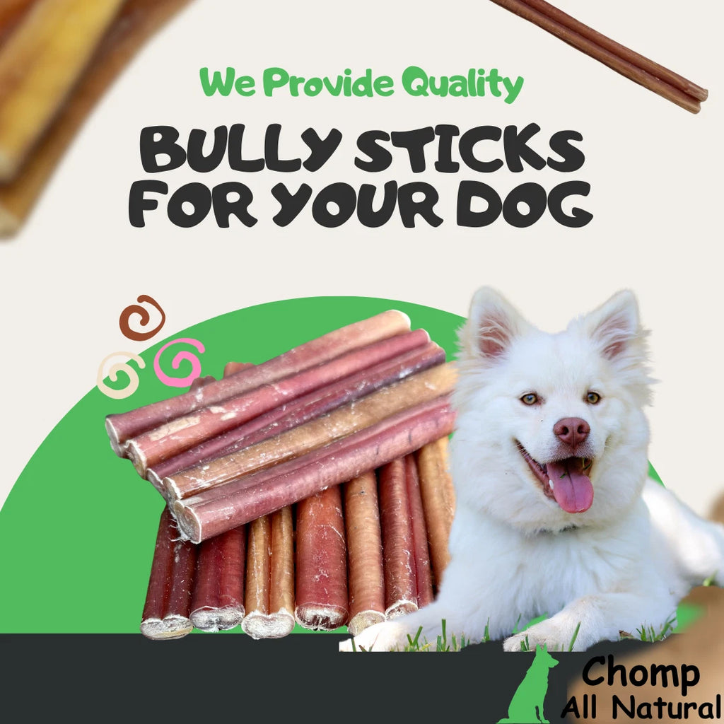 6" inch BULLY STICKS Natural Dog Treats Chews USDA & FDA Approved, By Chomp