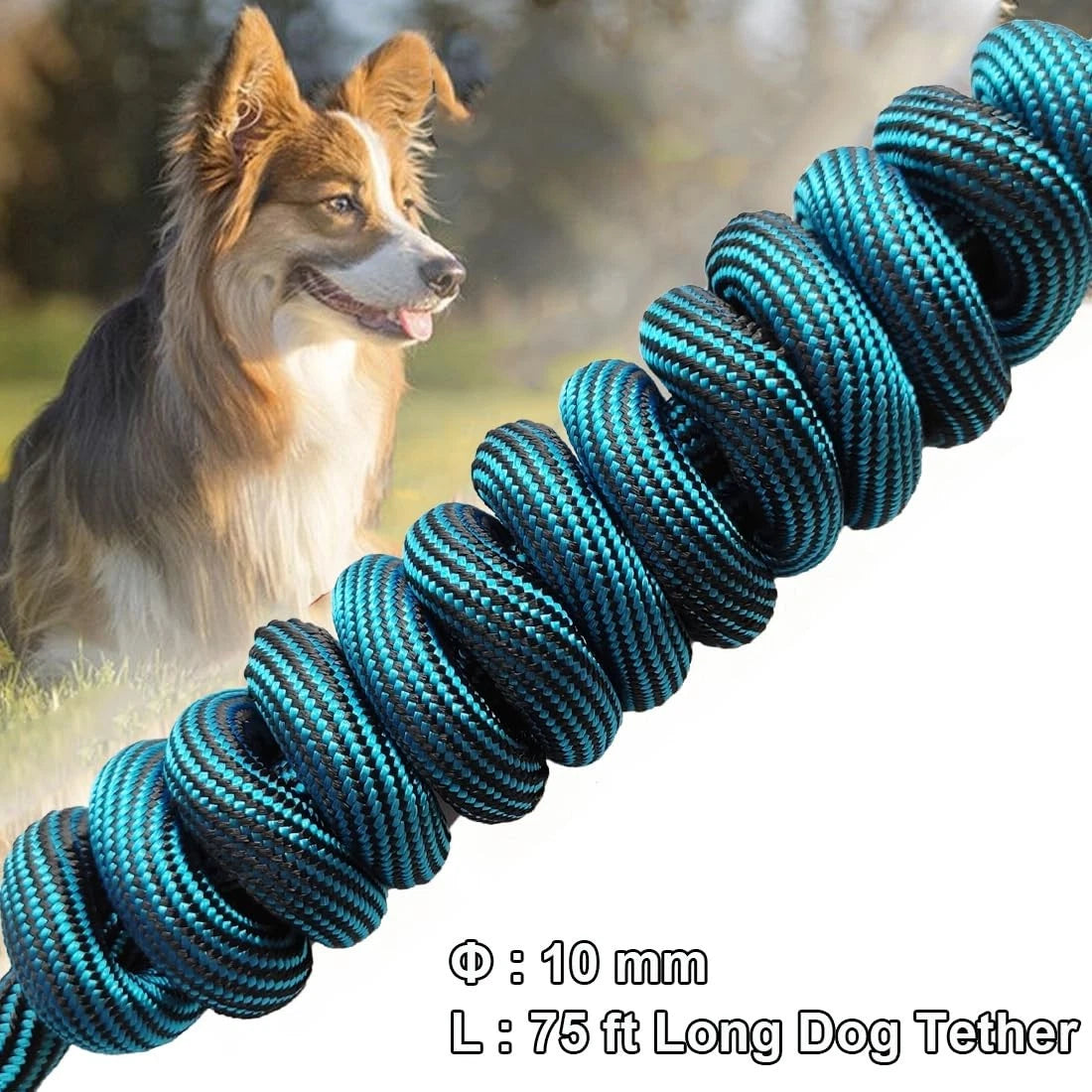 Heavy Duty Dog Tie Out Tether Long Training Leash Outdoor Yard Camp Rope Lead