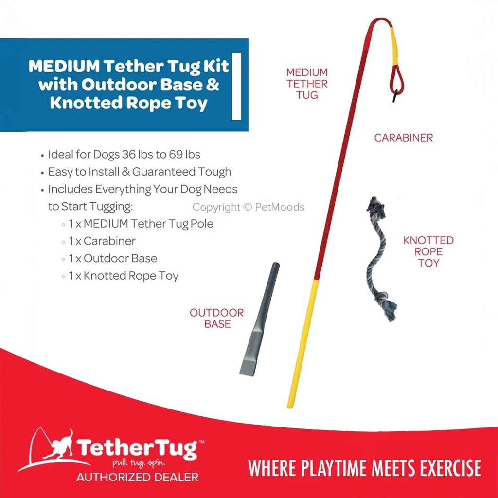 Tether Tug V2 Outdoor Dog Interactive Toy Tugging Pull Exercise 35-70 lbs and Up
