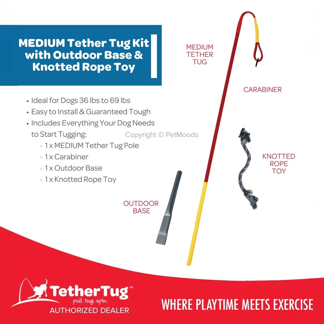 Tether Tug V2 Outdoor Dog Interactive Toy Tugging Pull Exercise 35-70 lbs and Up