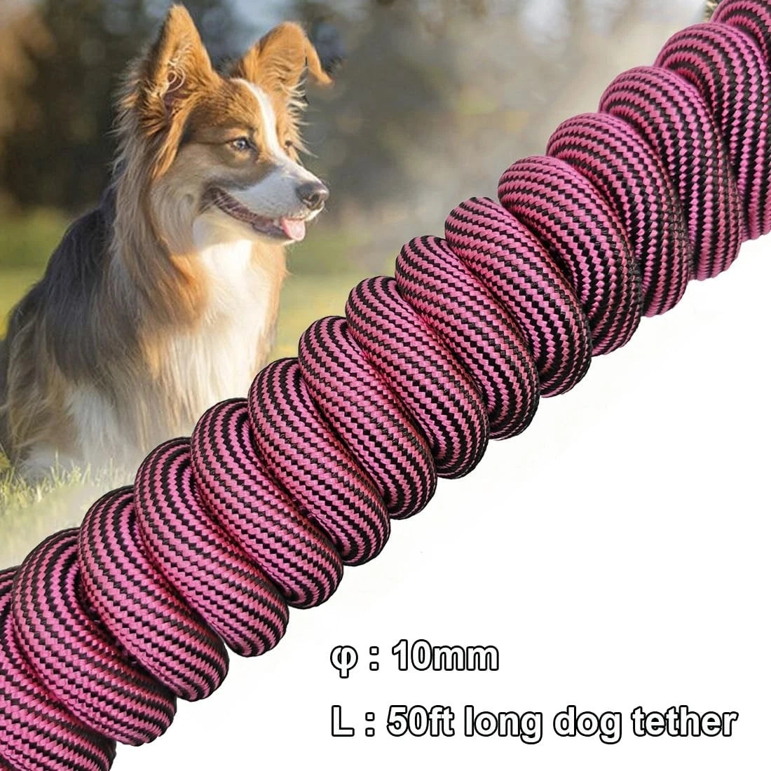 Heavy Duty Dog Tie Out Tether Long Training Leash Outdoor Yard Camp Rope Lead