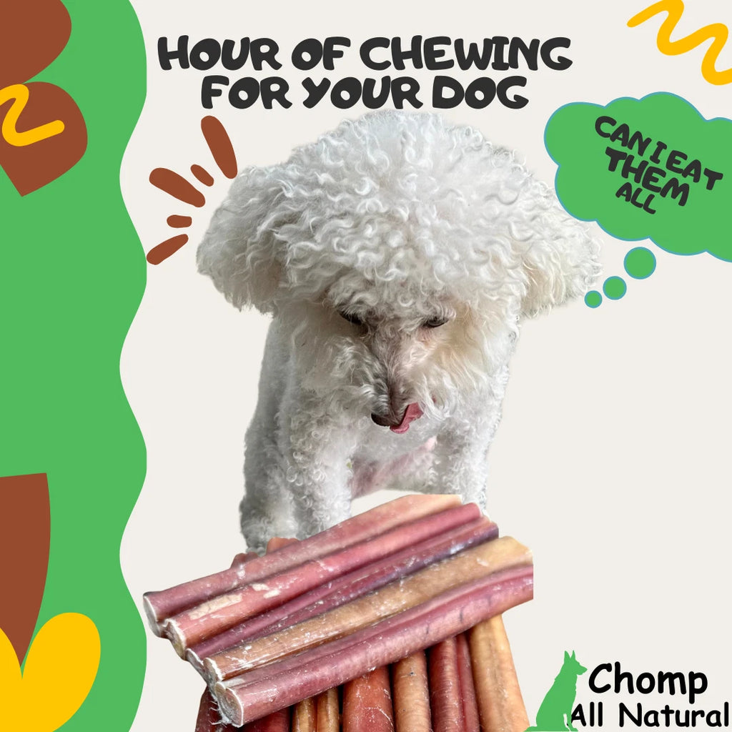6" inch BULLY STICKS Natural Dog Treats Chews USDA & FDA Approved, By Chomp