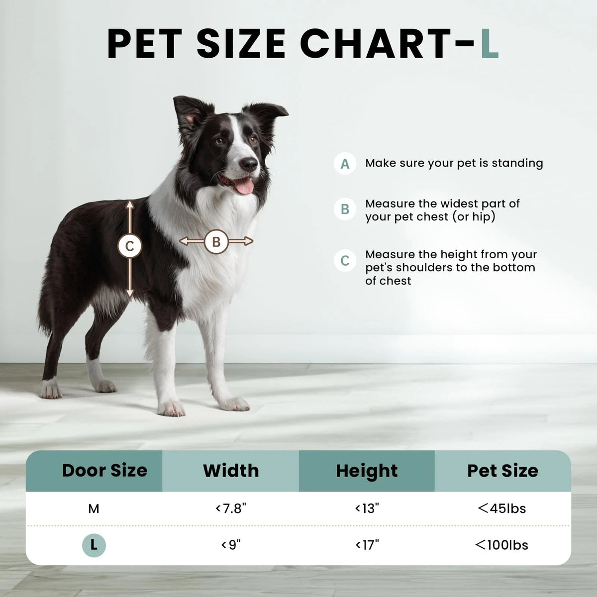 Dog Door 3 Flap, Plastic Dog Door for Wall, Large Doggy Door, Dogie Door