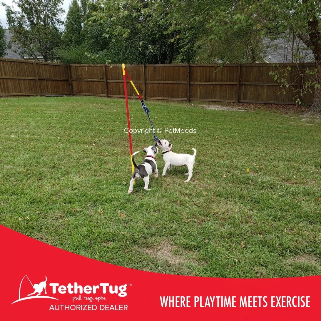 Tether Tug V2 Outdoor Dog Interactive Toy Tugging Pull Exercise 35-70 lbs and Up