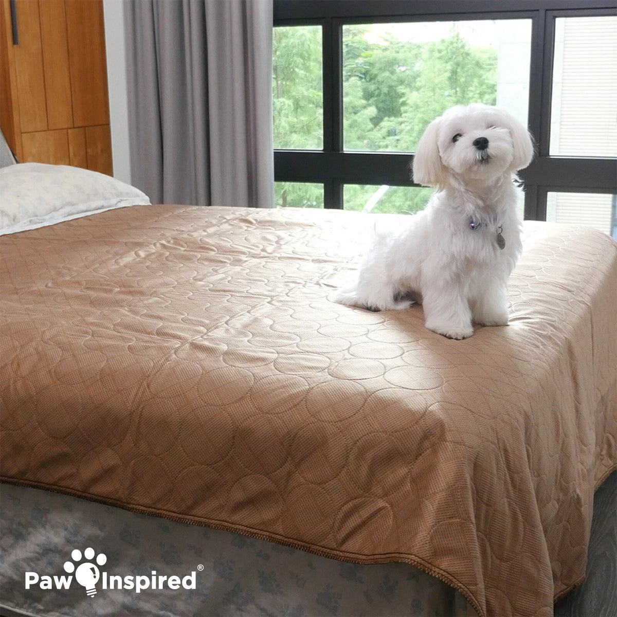 Paw Inspired Washable Dog Pads, Reusable Puppy Pee Wee Training Pads Extra Large