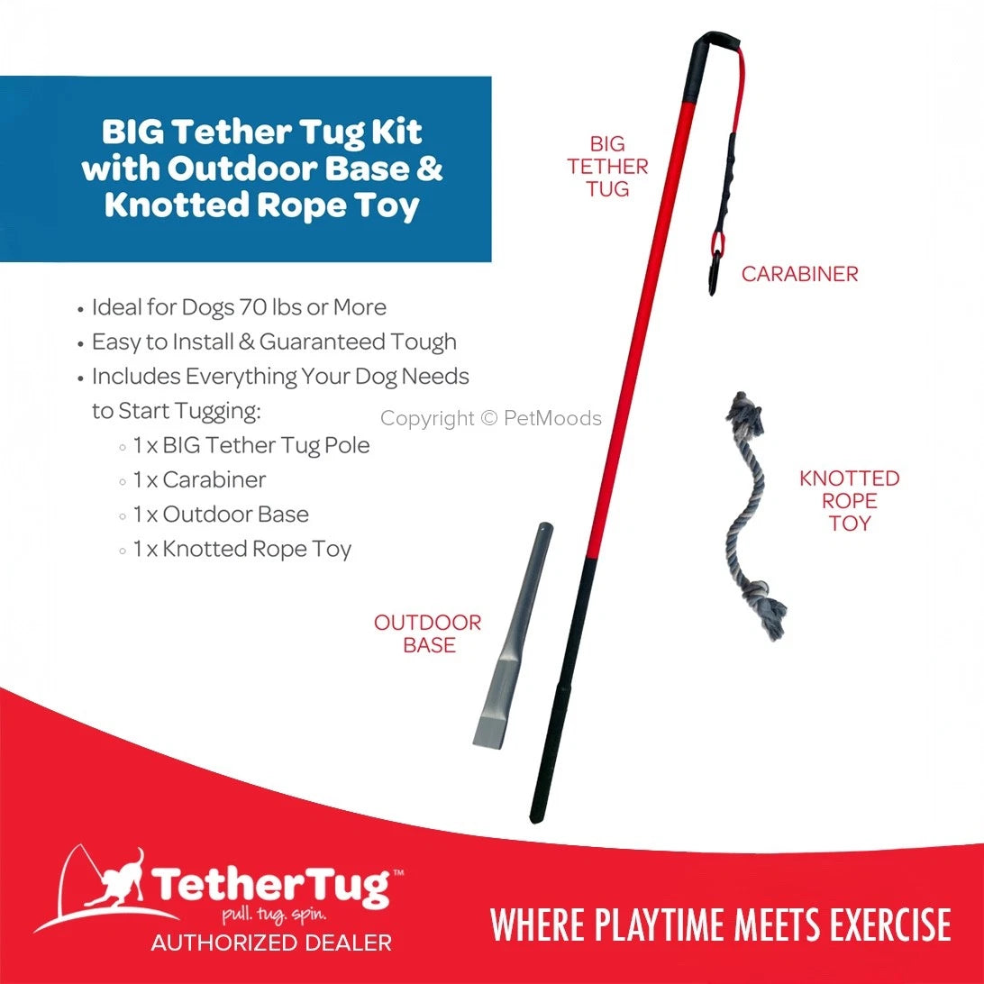 Tether Tug V2 Outdoor Dog Interactive Toy Tugging Pull Exercise 35-70 lbs and Up