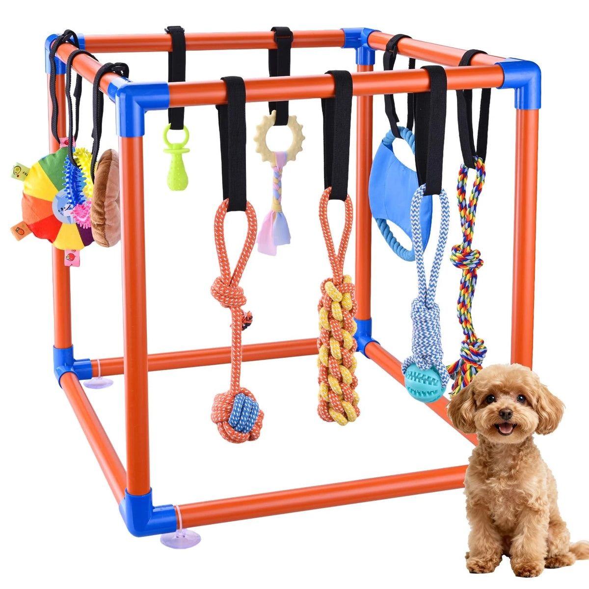 Puppy Play Gym with 10 Hanging Toys for Small/Medium Dogs, Dog Gym Playground, D