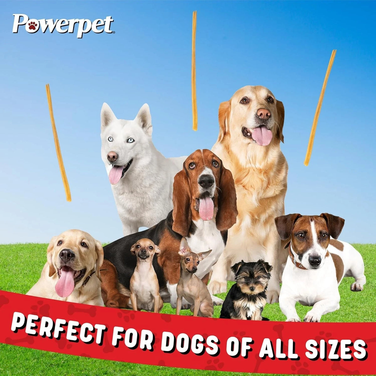 Powerpet-Bully Sticks 12" Steer-100% Natural Dog Chews & Treats, BRC Certified